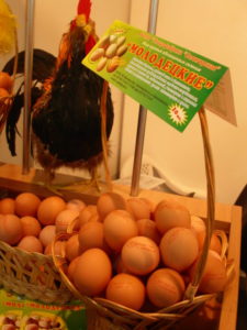 Выставочный стенд с яйцами с селеном