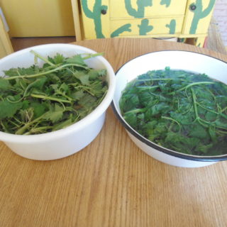 Крапива в двух мисках