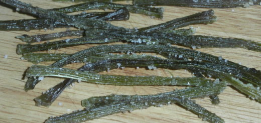 Цукаты из стеблей лопуха