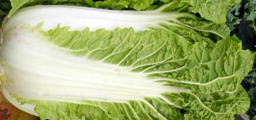 пекинская капуста