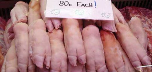 свиные ножки