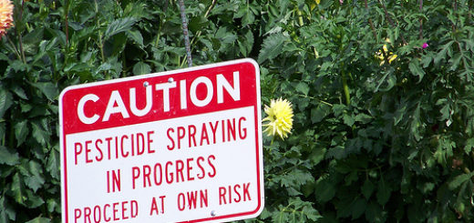 предупреждение о распылении пестицидов