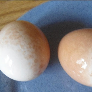 Яйца вареные