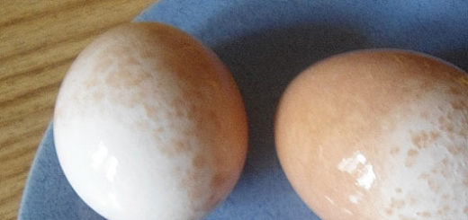 Яйца вареные